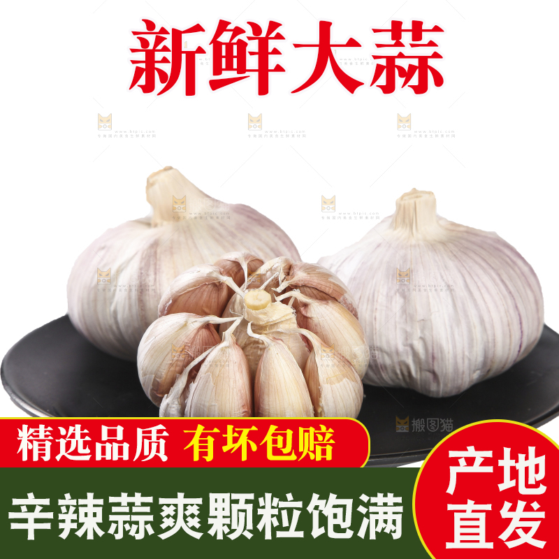 白底上的干蒜