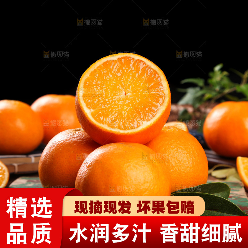 深木底上的爱媛38号
