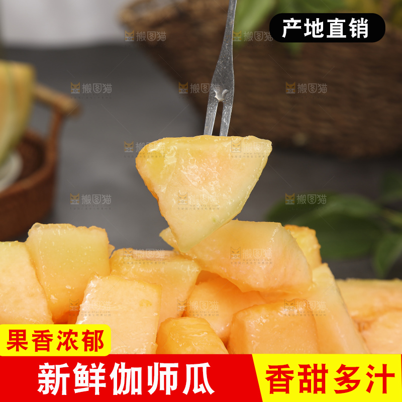 深底上的新疆伽师瓜