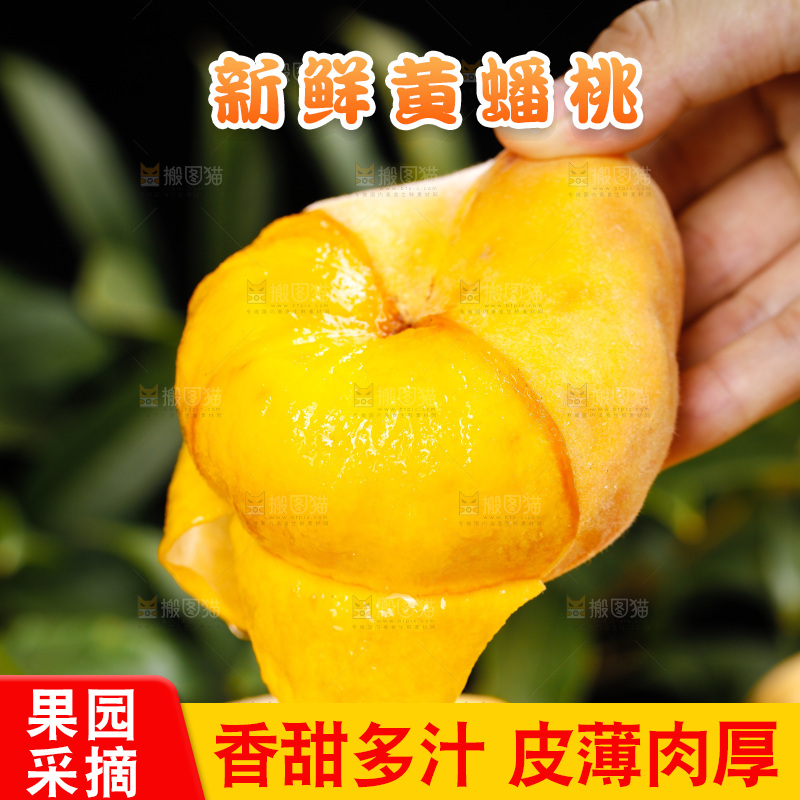 深底上的黄毛蟠桃