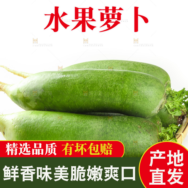 白底上的水果萝卜