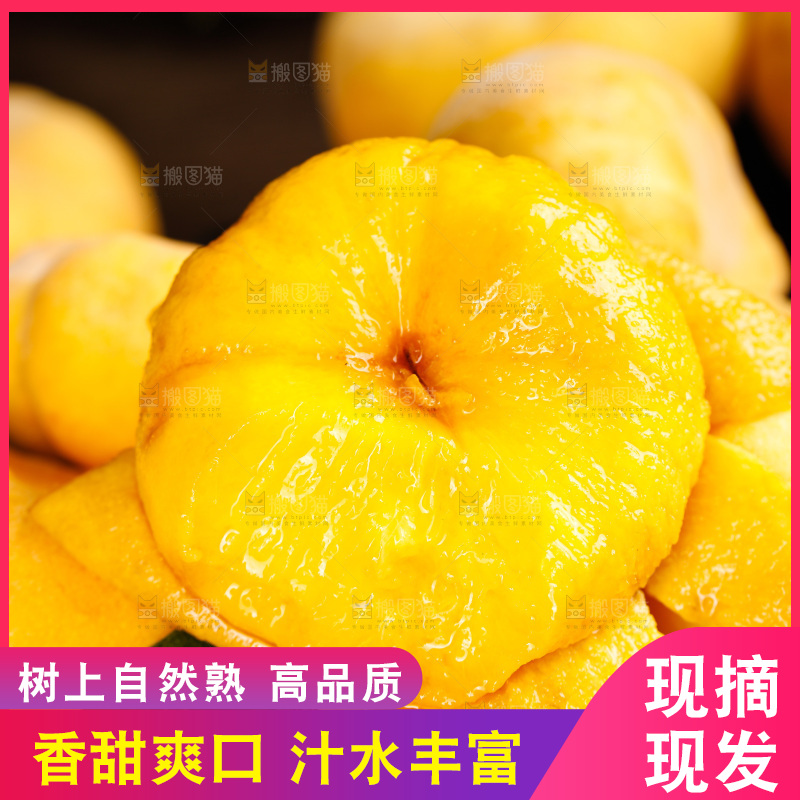 深底上的黄毛蟠桃