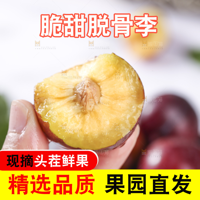 浅底上的脆红李
