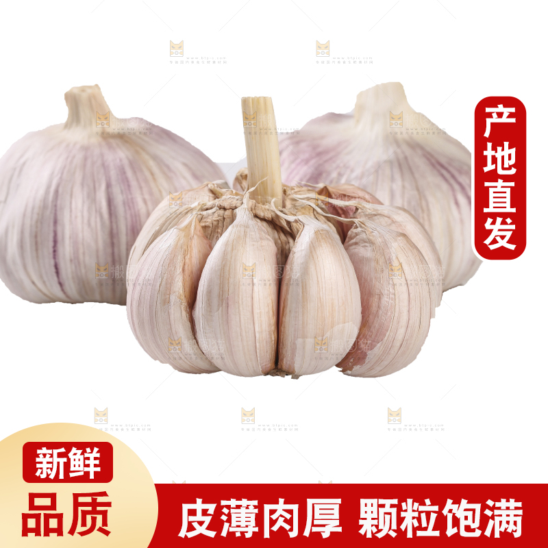 白底上的干蒜