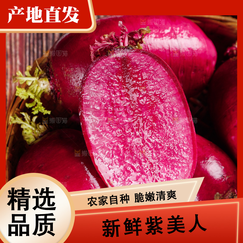 木底上的紫美人萝卜