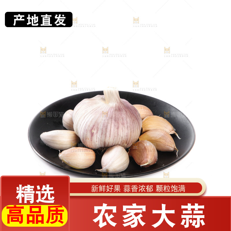 白底上的干蒜