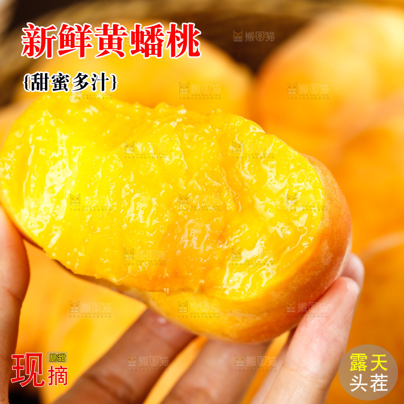 深底上的黄毛蟠桃