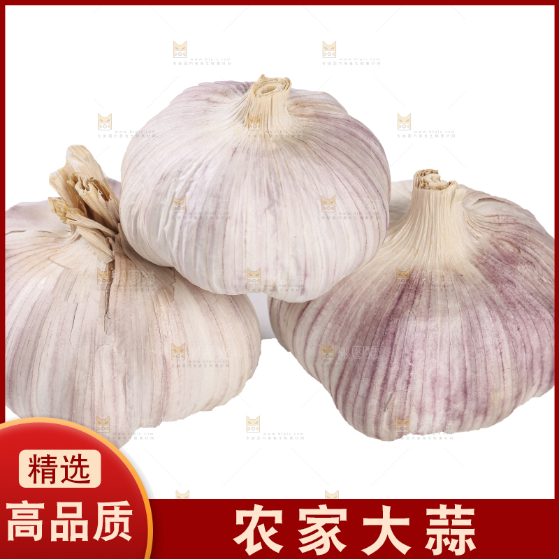 白底上的干蒜