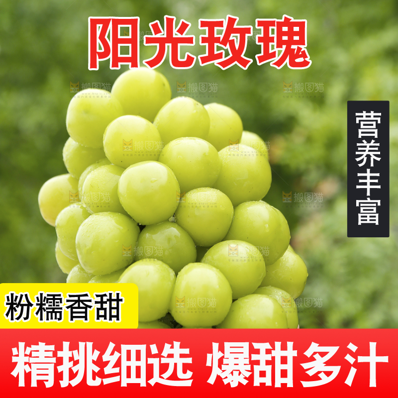手里拿着阳光玫瑰