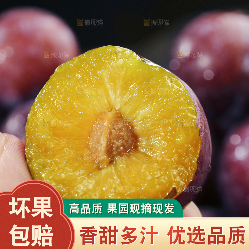 深底上放着脱骨李
