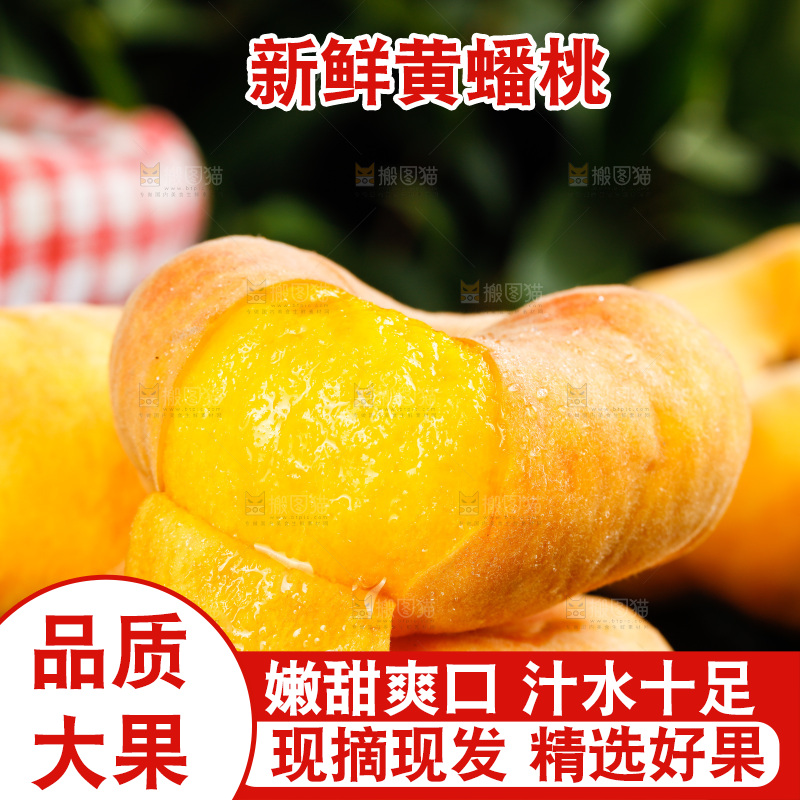 深底上的黄毛蟠桃