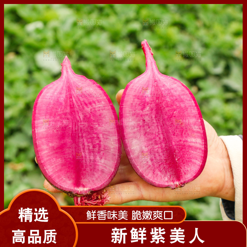 紫美人萝卜主图