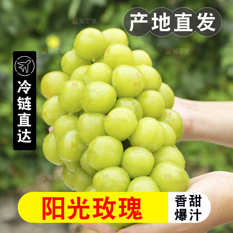 手里拿着阳光玫瑰