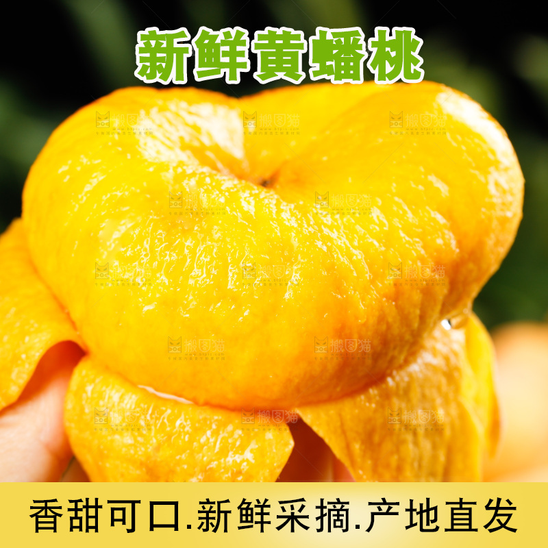 深底上的黄毛蟠桃