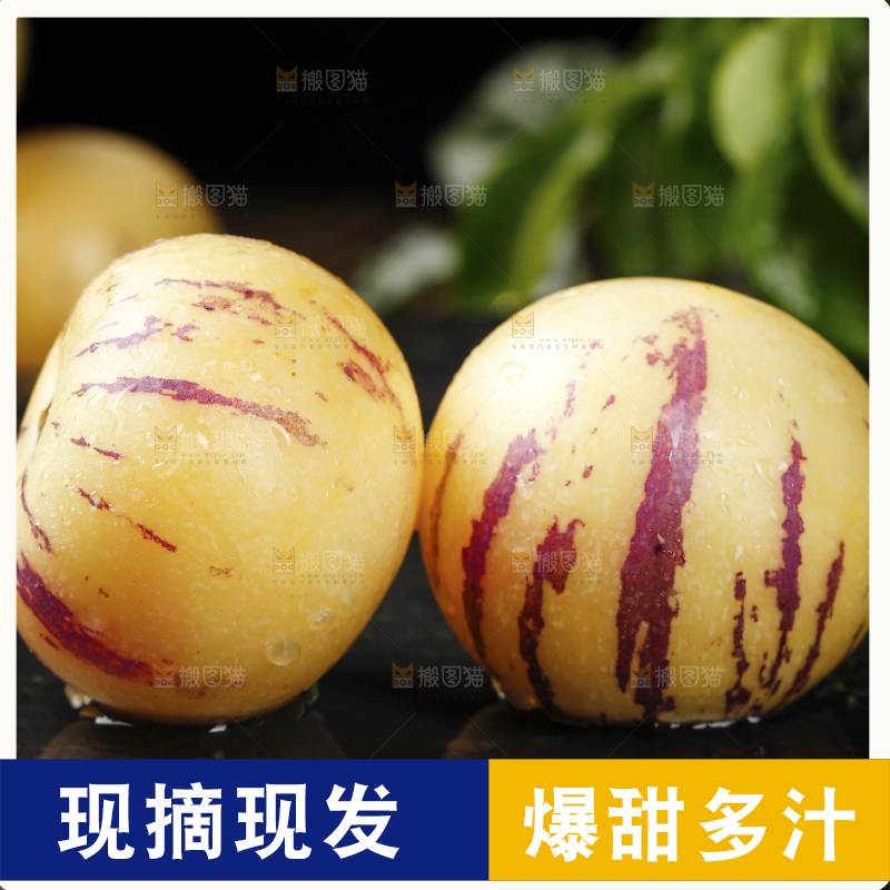深底上摆放着人参果