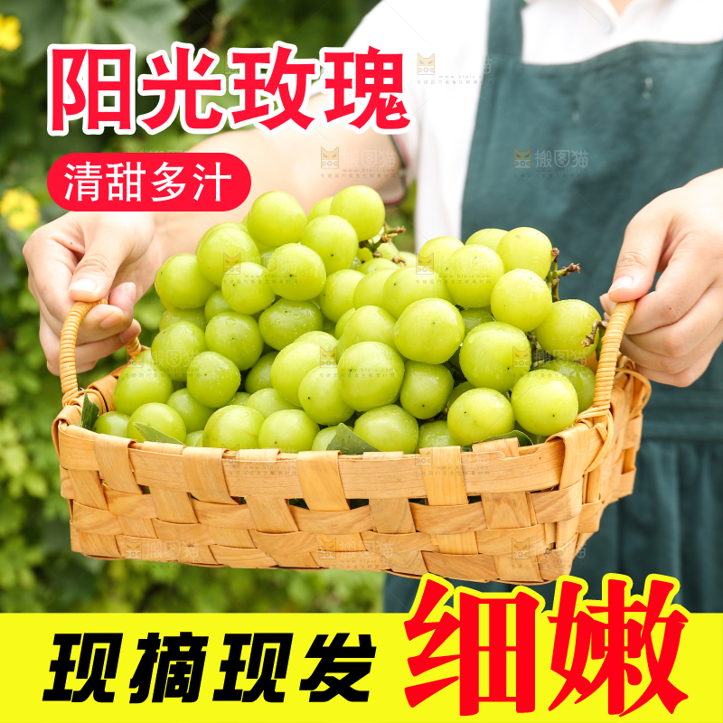 手里拿着阳光玫瑰