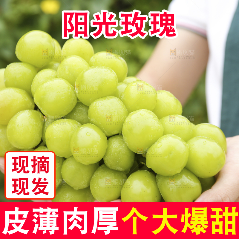手里拿着阳光玫瑰