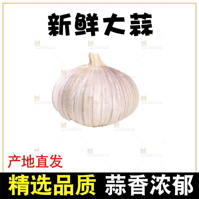 白底上的干蒜