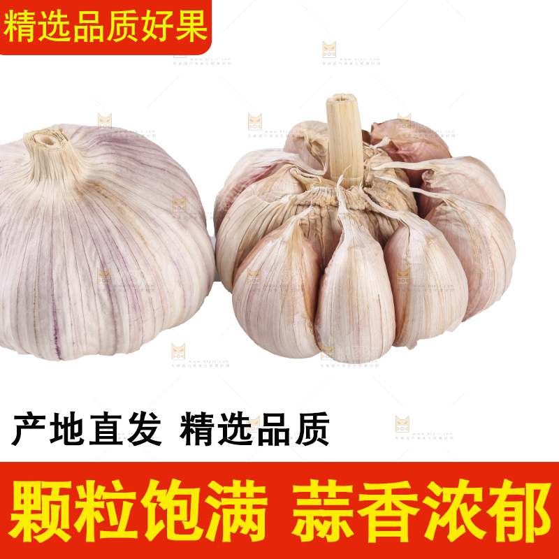 白底上的干蒜