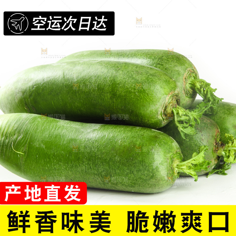 白底上的水果萝卜