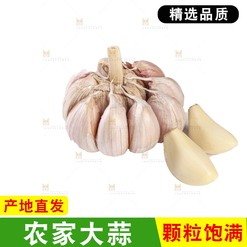 白底上的干蒜