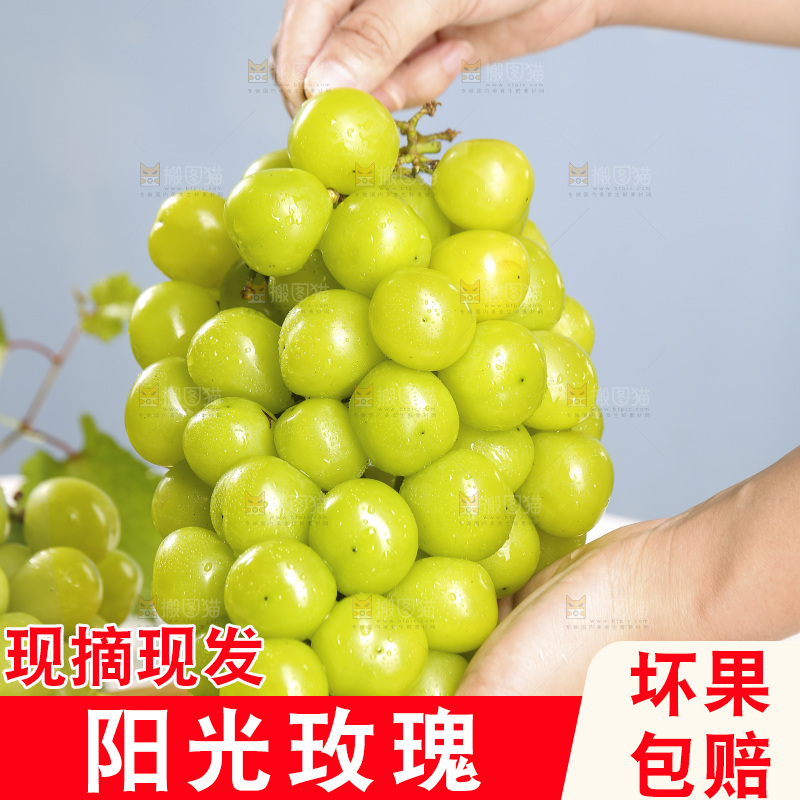 浅底上的晴王香印青提