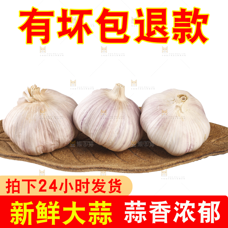 白底上的干蒜