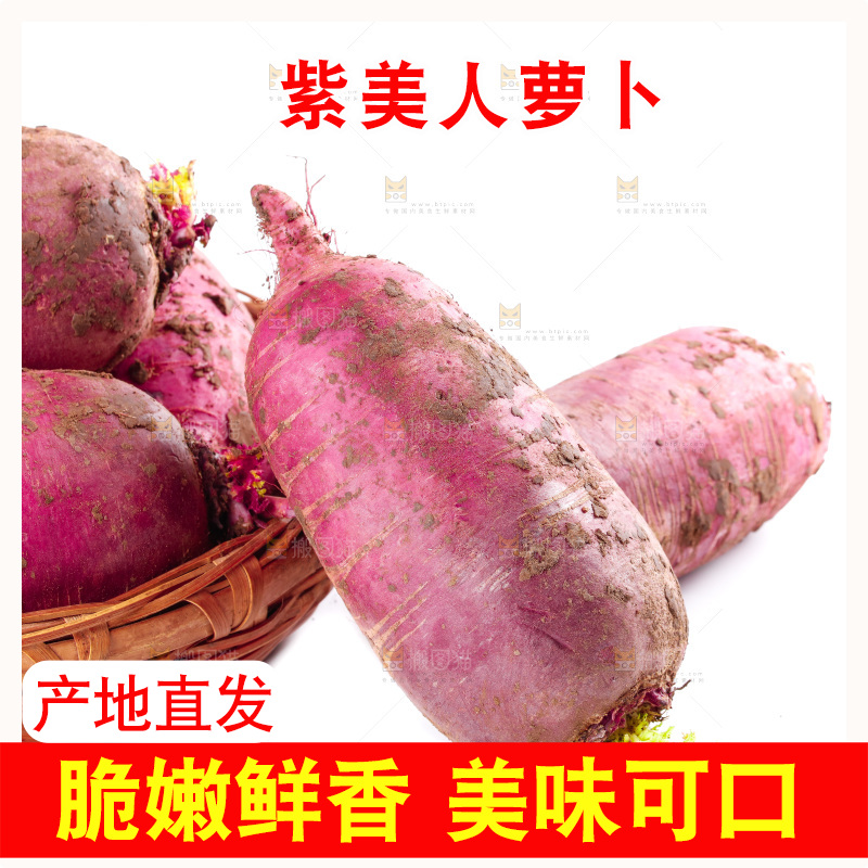 白底上的紫美人萝卜