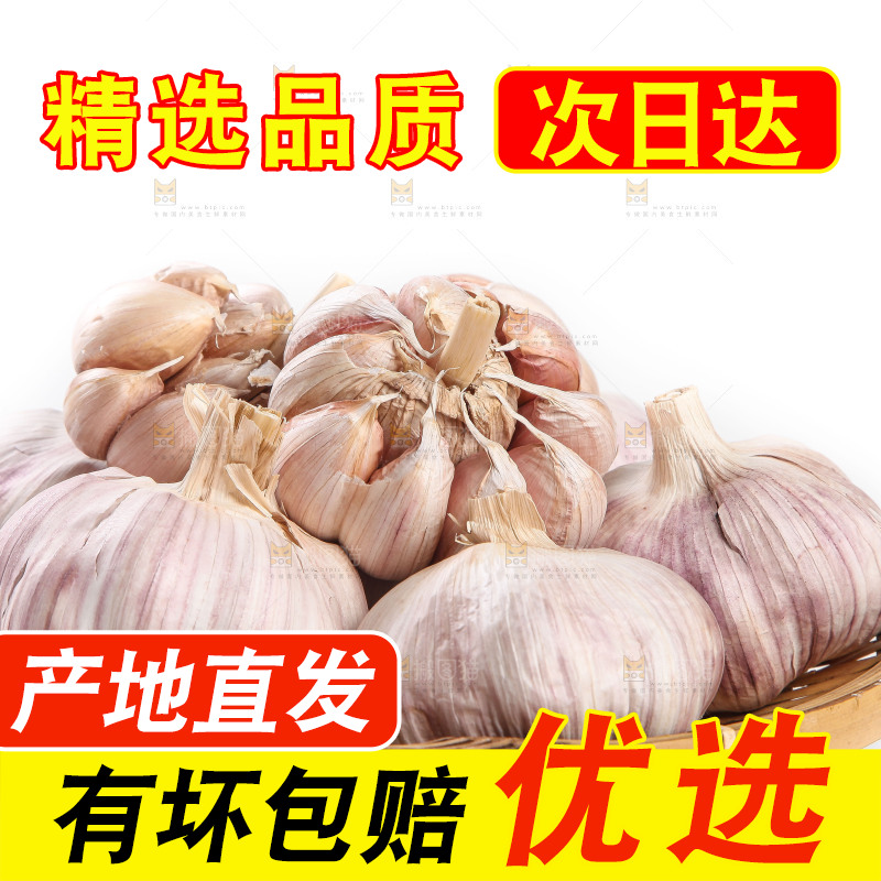 白底上的干蒜