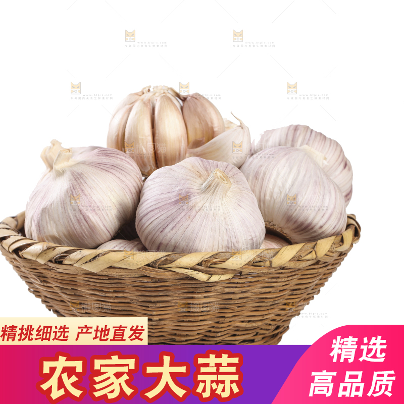白底上的干蒜