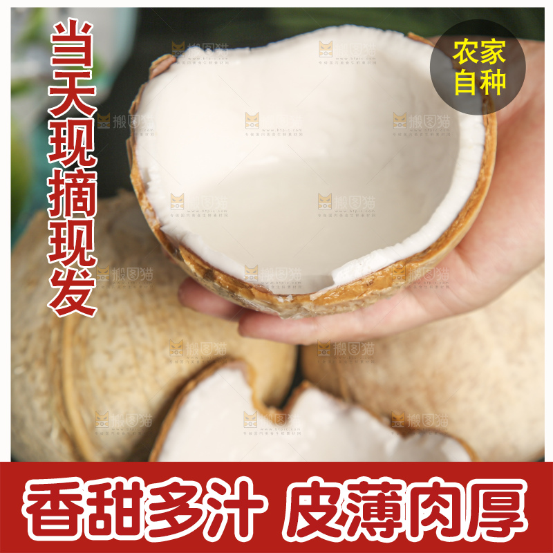 深底上的泰国进口烤椰