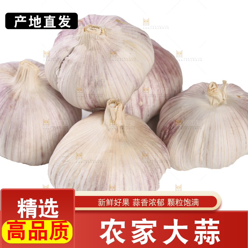 白底上的干蒜