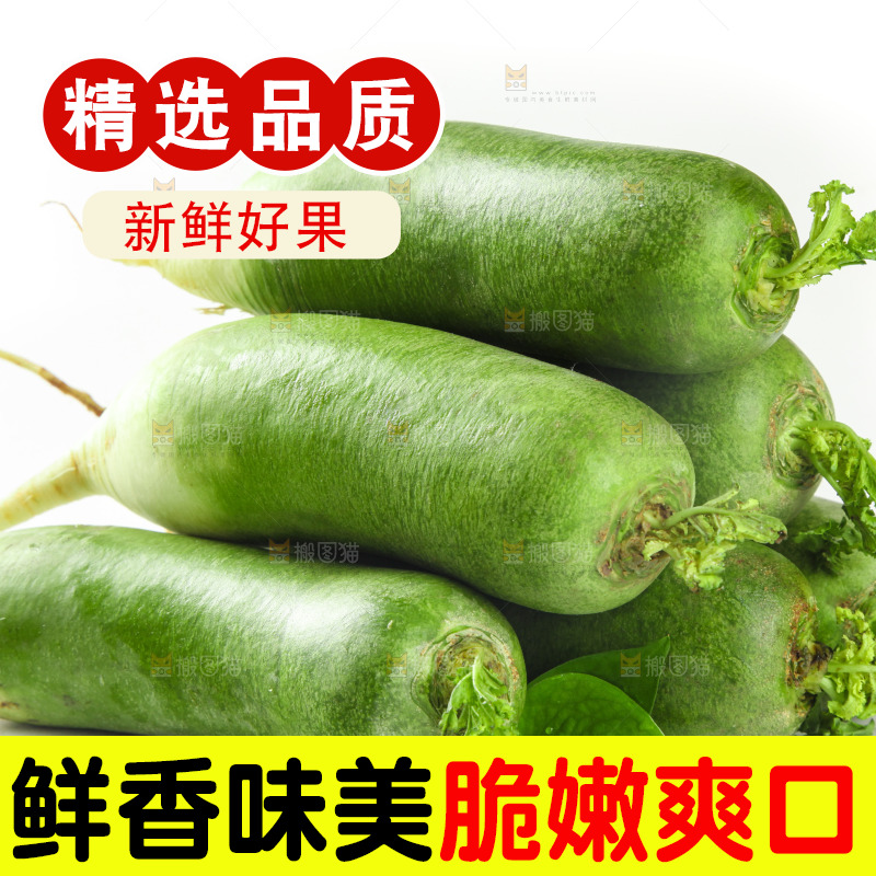 白底上的水果萝卜