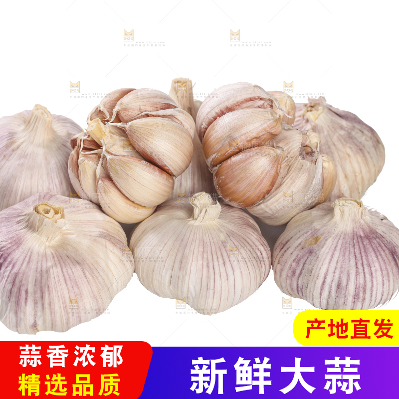 白底上的干蒜