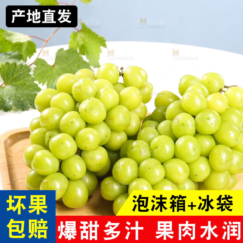 浅底上的晴王香印青提