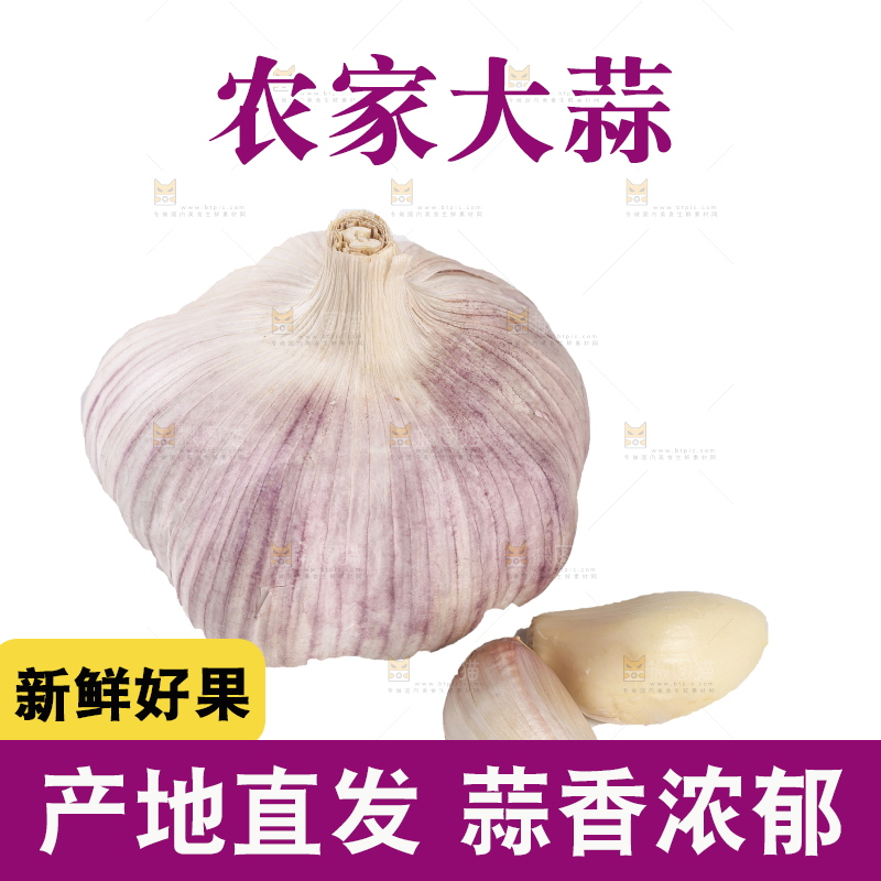 白底上的干蒜