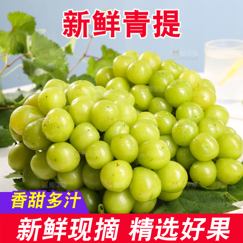 浅底上的晴王香印青提