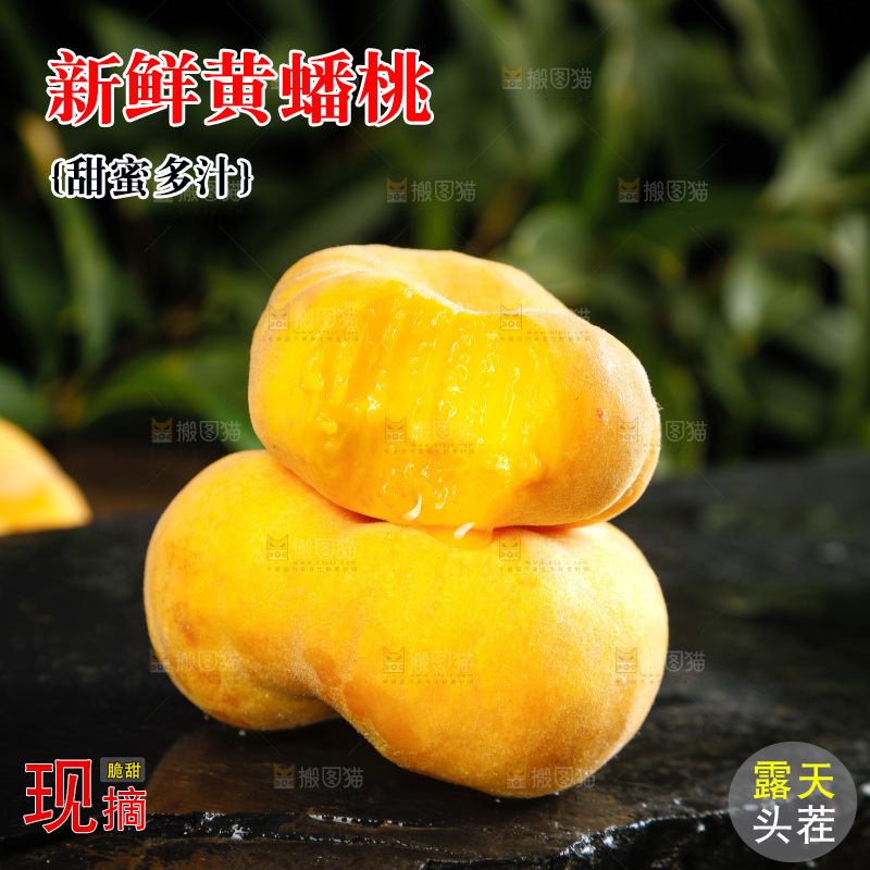 深底上的黄毛蟠桃