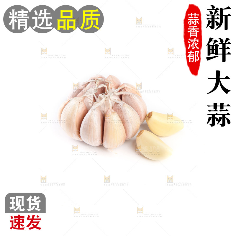 白底上的干蒜