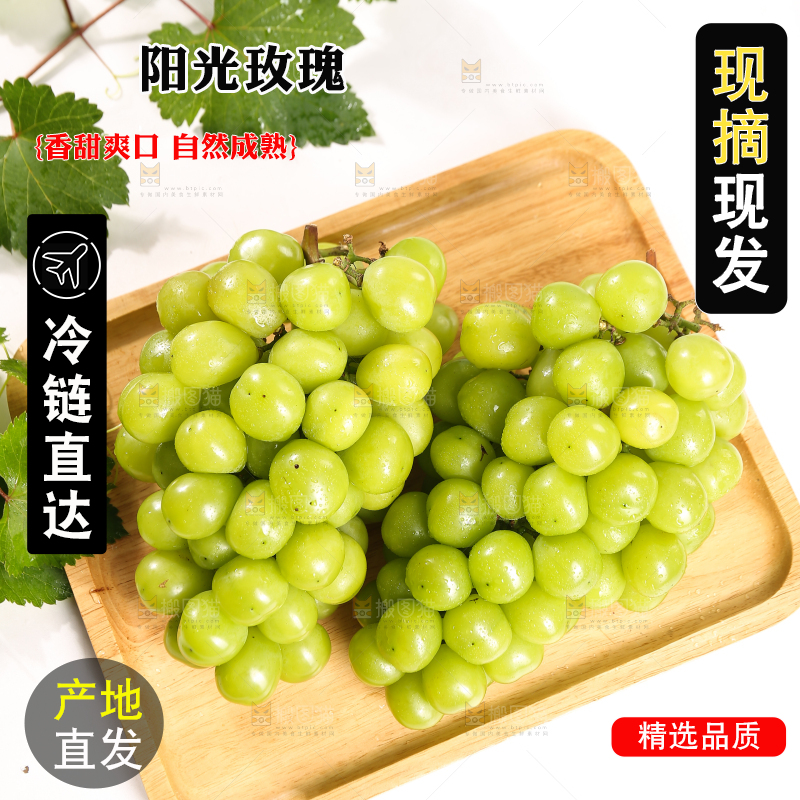 浅底上的晴王香印青提