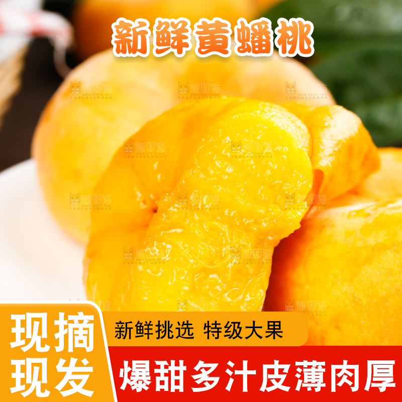深底上的黄毛蟠桃