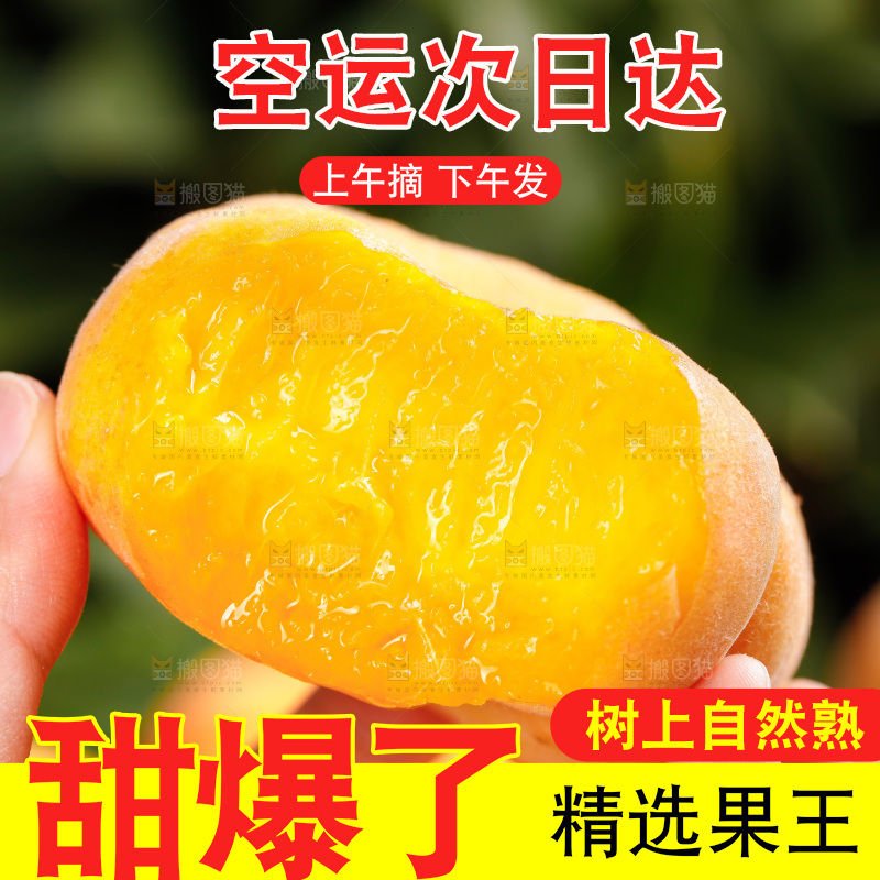 深底上的黄毛蟠桃