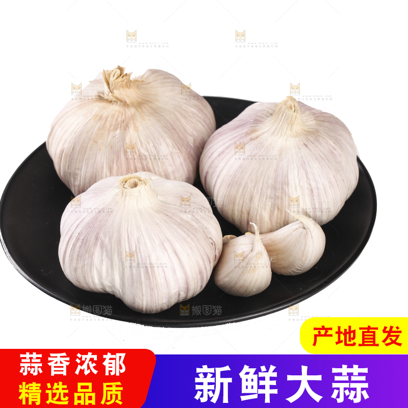 白底上的干蒜