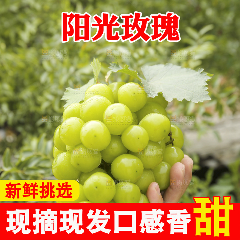 手里拿着阳光玫瑰