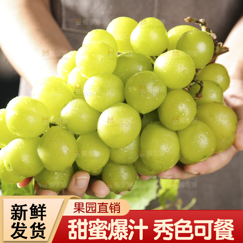 深底上放着阳光玫瑰青提