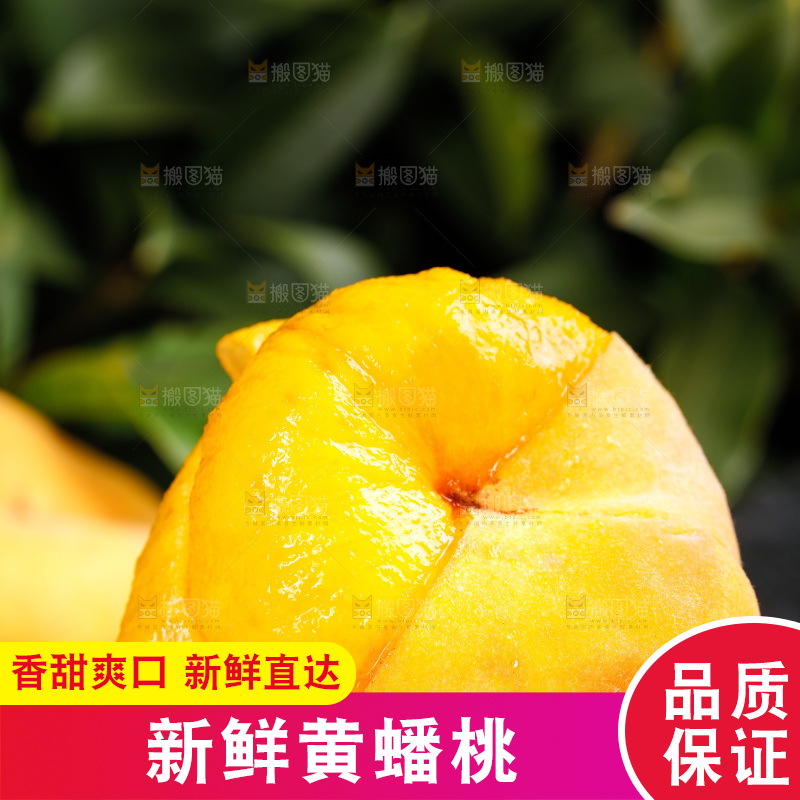 深底上的黄毛蟠桃