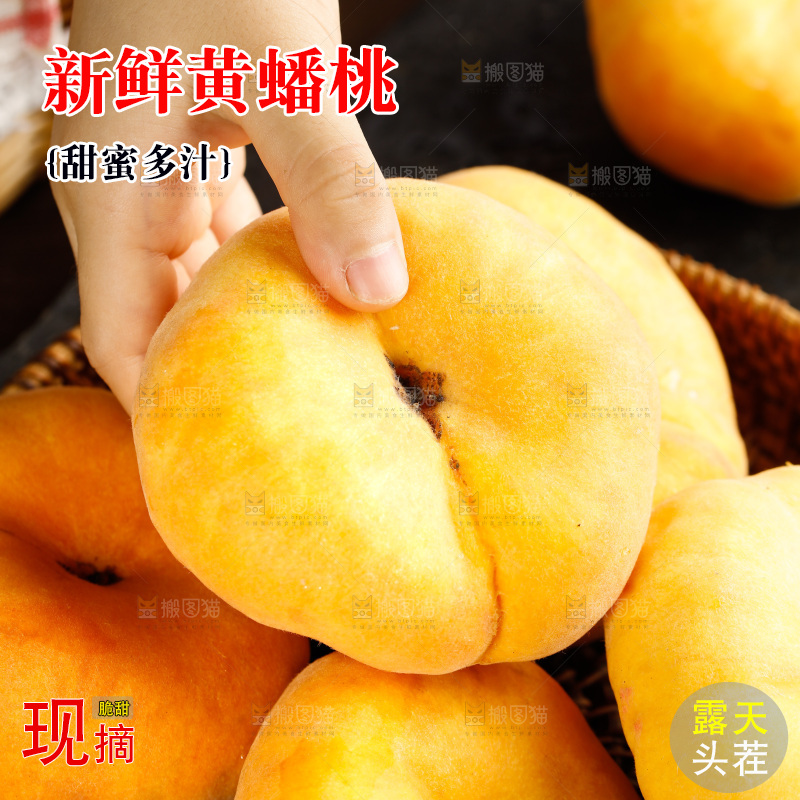 深底上的黄毛蟠桃