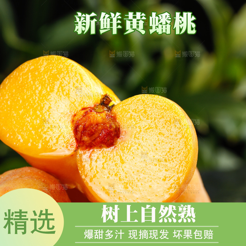 深底上的黄毛蟠桃