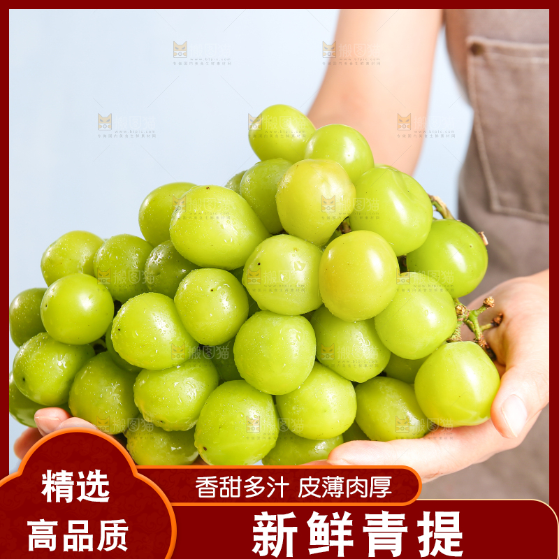 浅底上的晴王香印青提