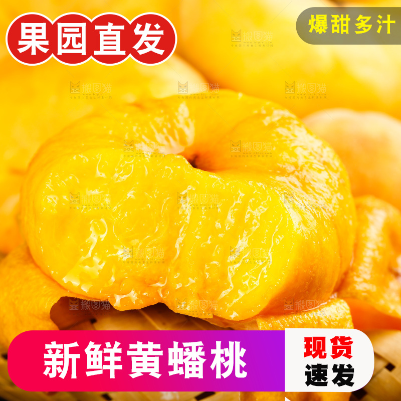 深底上的黄毛蟠桃